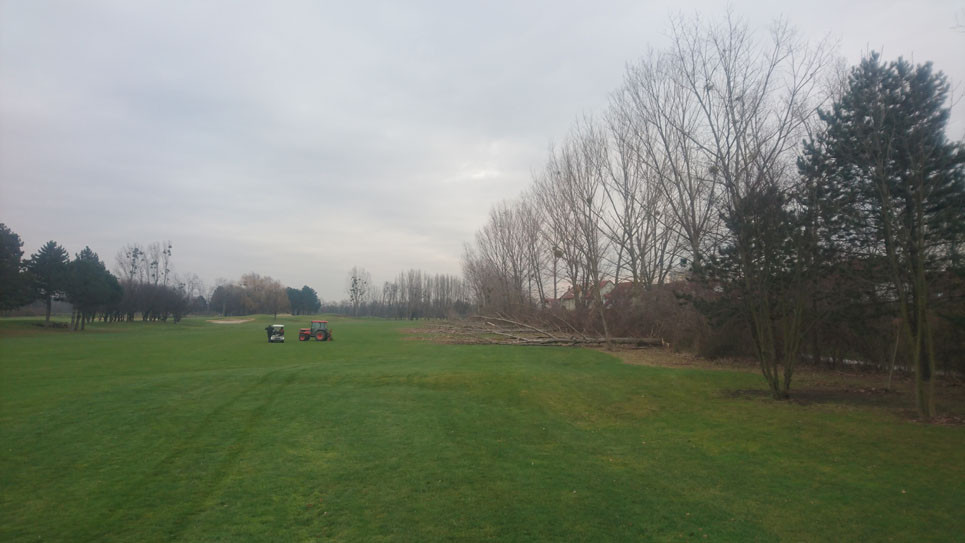 BaumschnittGolfplatz