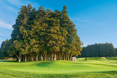 PT Golf Azoren Furnas 2