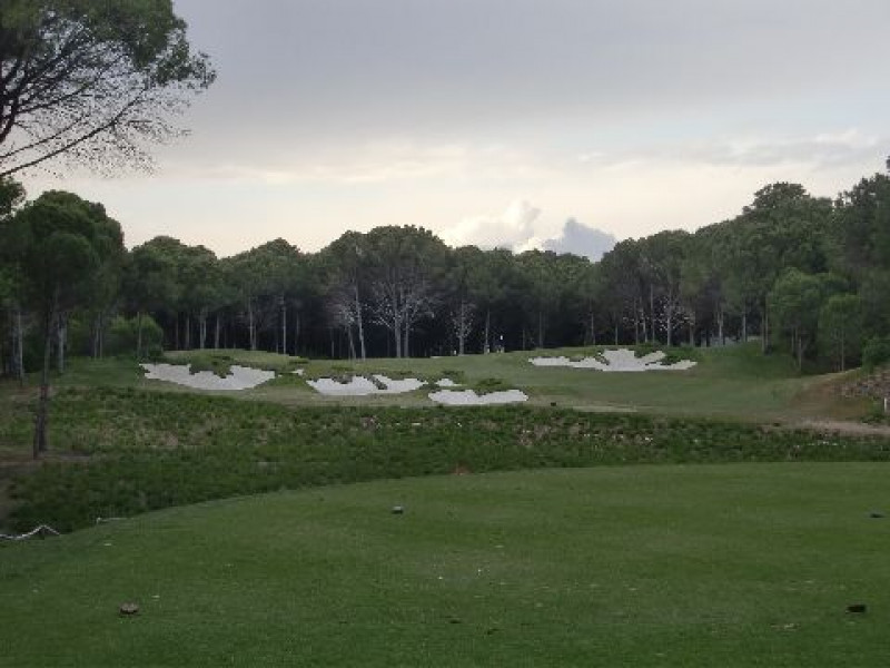 Carya 3