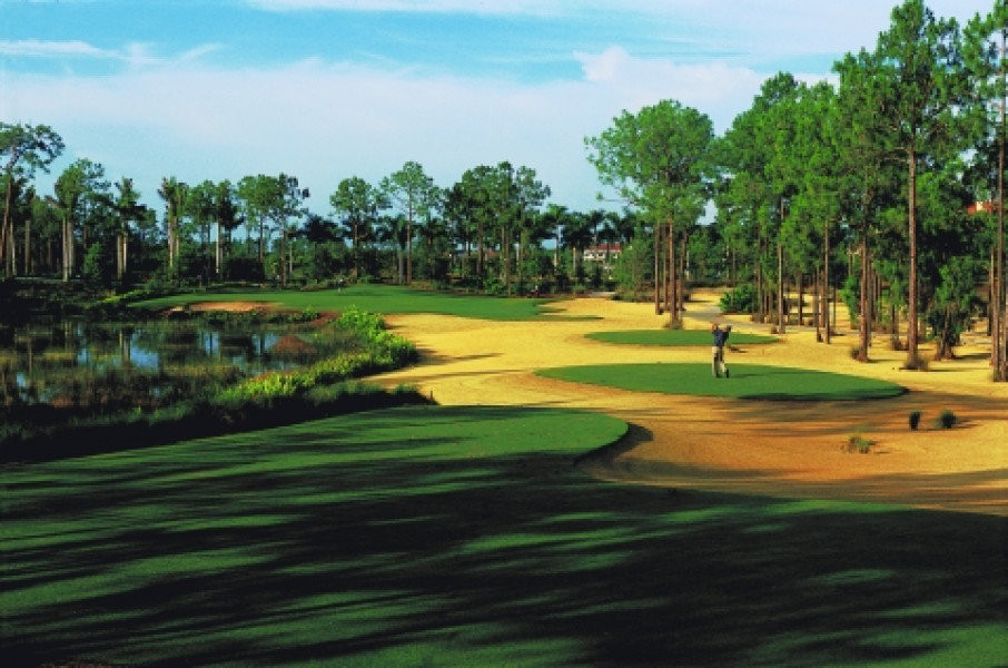 006300010547 RCNAPGLF 00022 12318