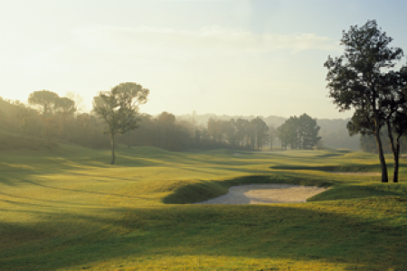 Stadium 17Bob Atkins