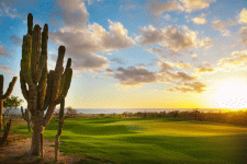 El Cardonal Sunset No14 2