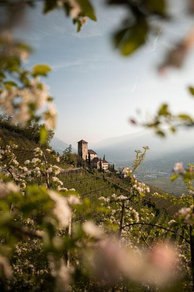 ©Belvita Hotel ALPIANA   green luxury Dolce Vita Hotel (2)