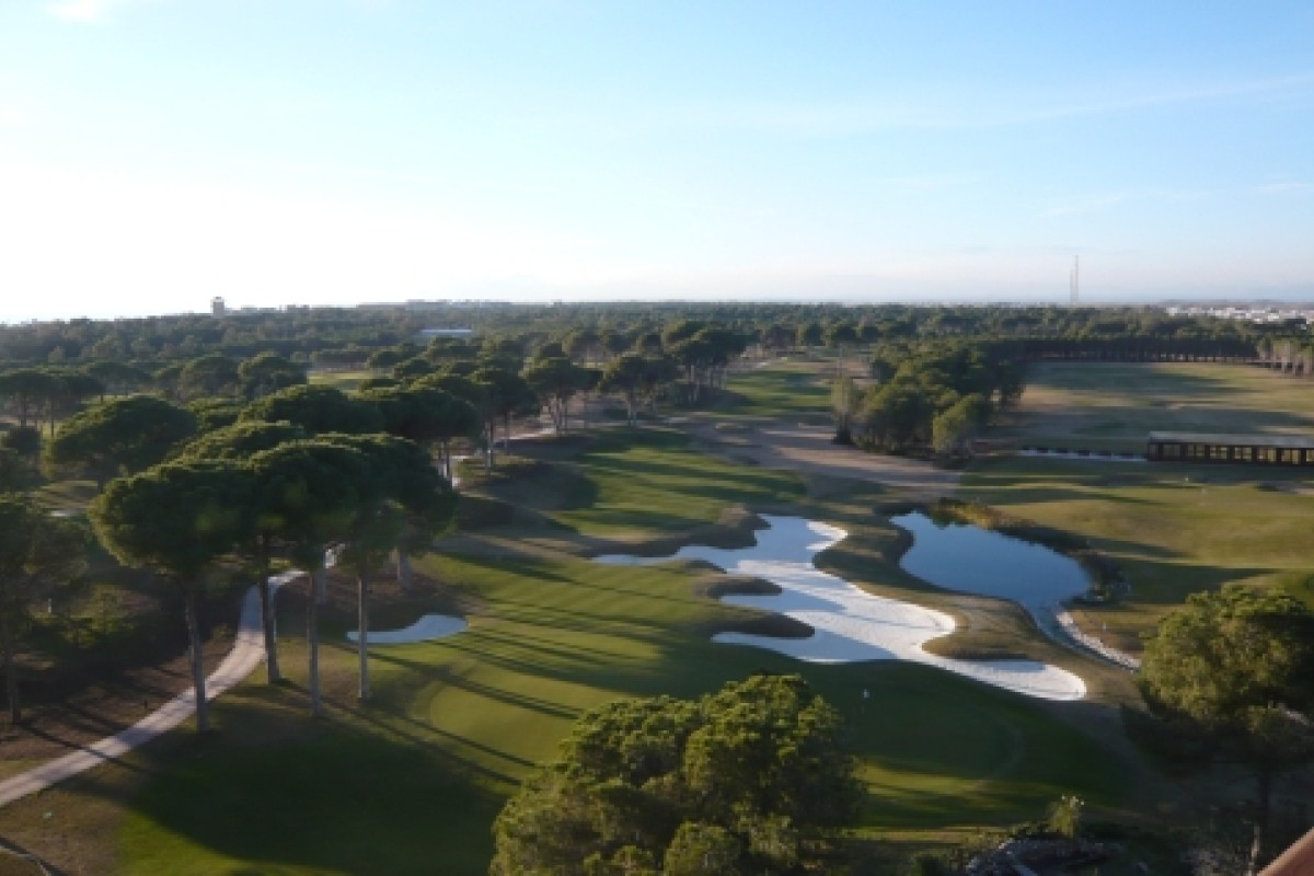 Montgomerie Seite 44