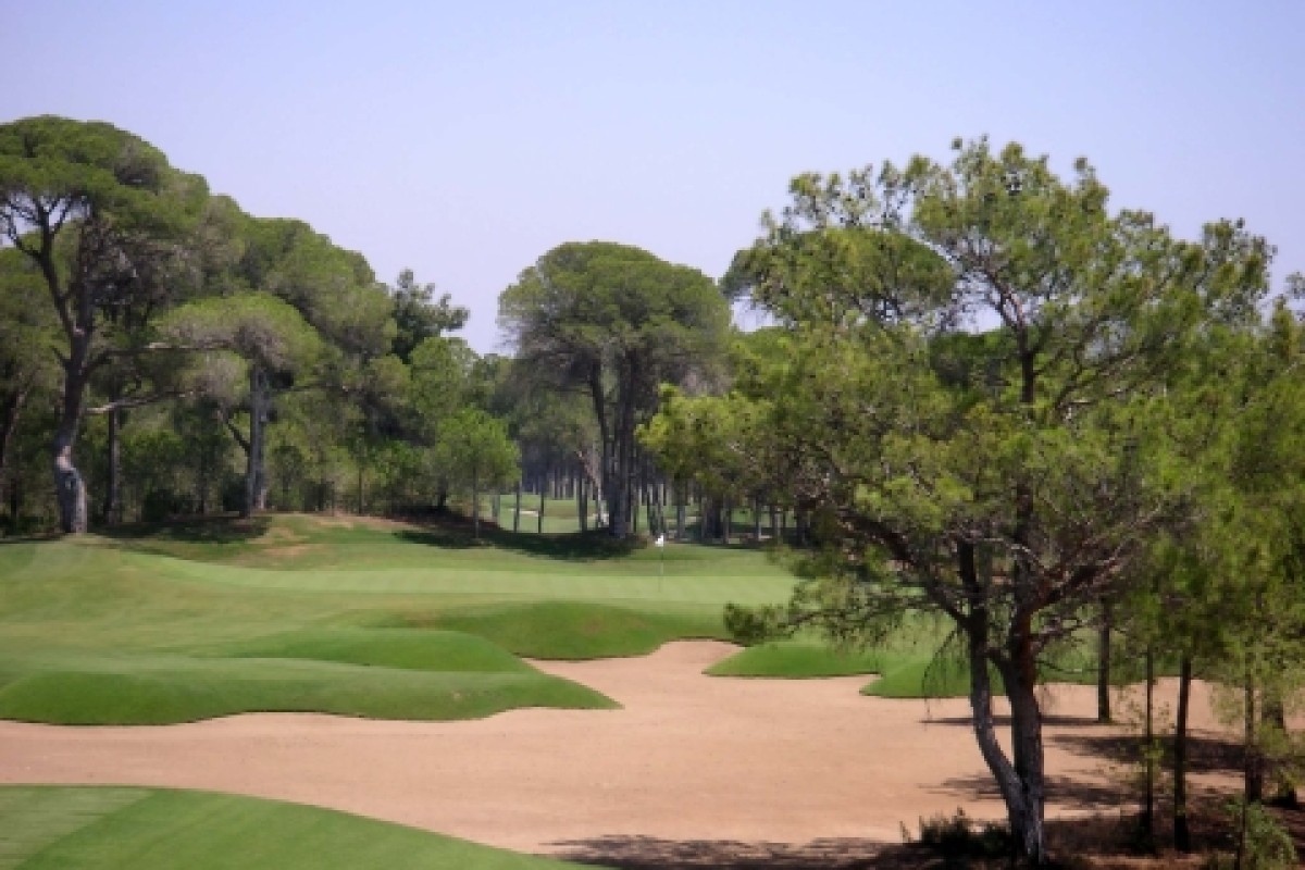T Papillon Montgomerie 19