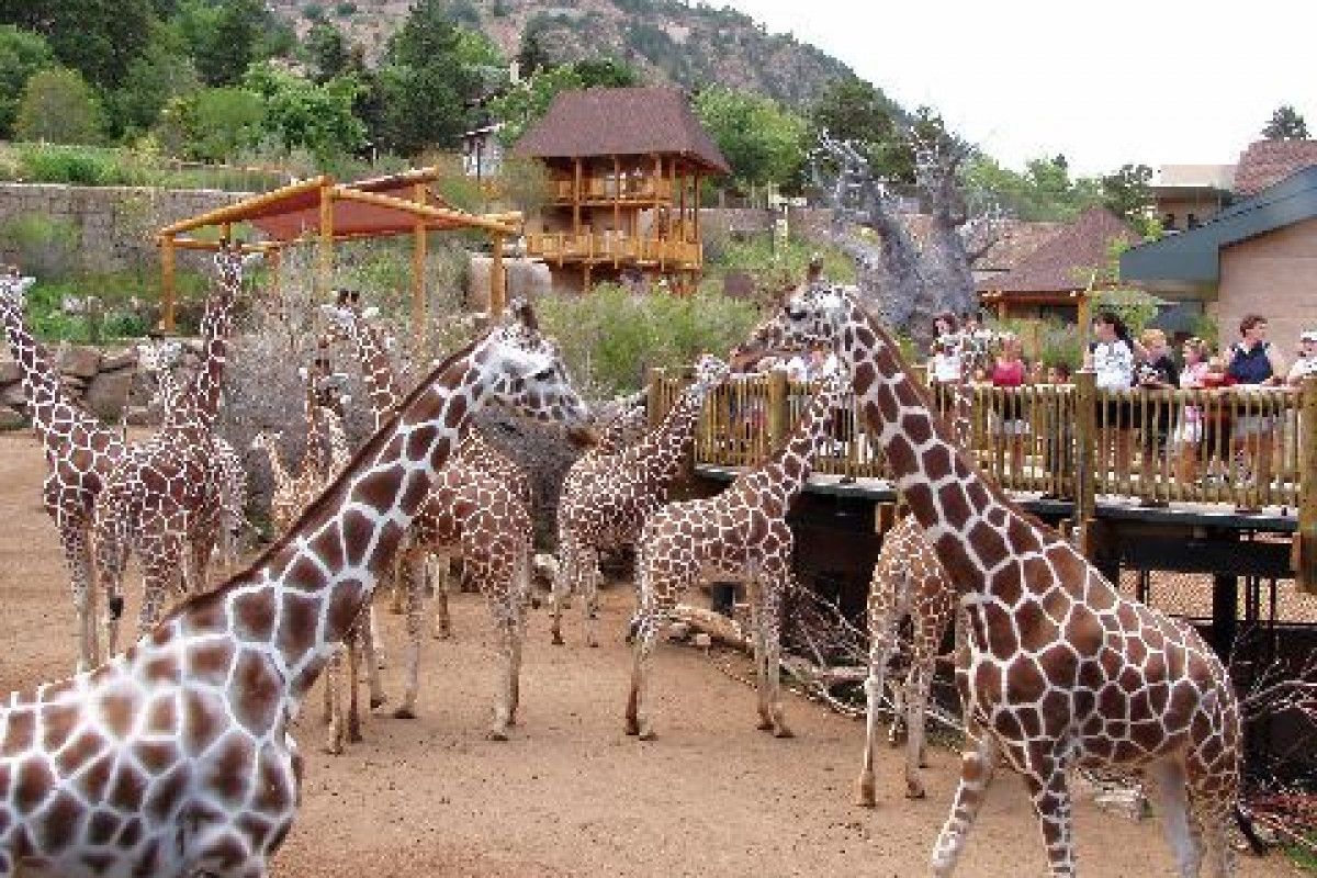 AFRICAN RIFT Cheyenne Mountain Zoo2