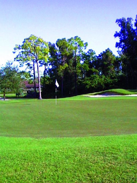 18th Hole at Eastwood