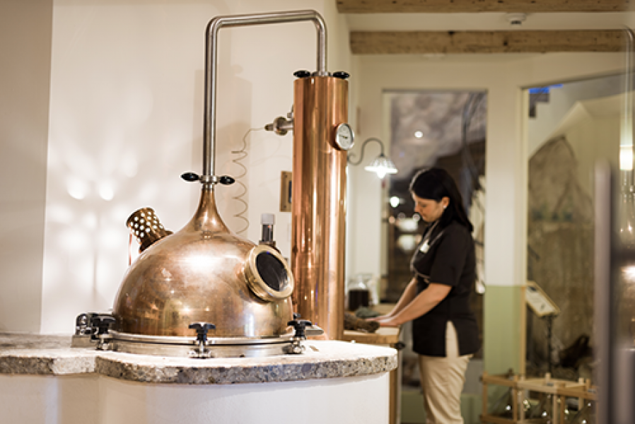 WAL 160204 Scout LR 0685 Kraeuterkueche