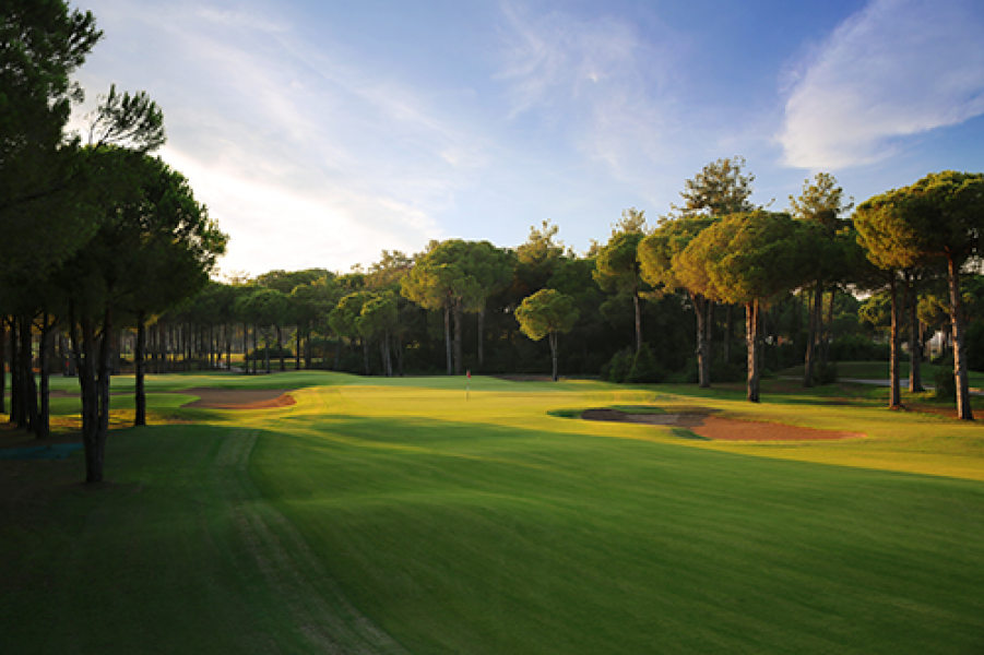 GloriaOldCourse6 GolfClub12th H