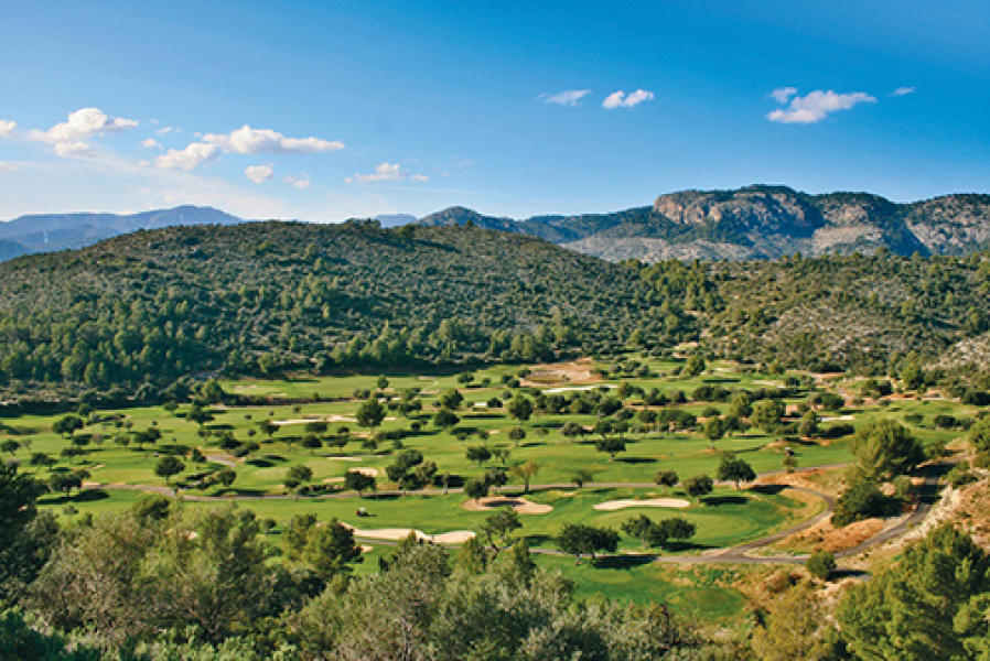 Golf Son Termes Son Termes