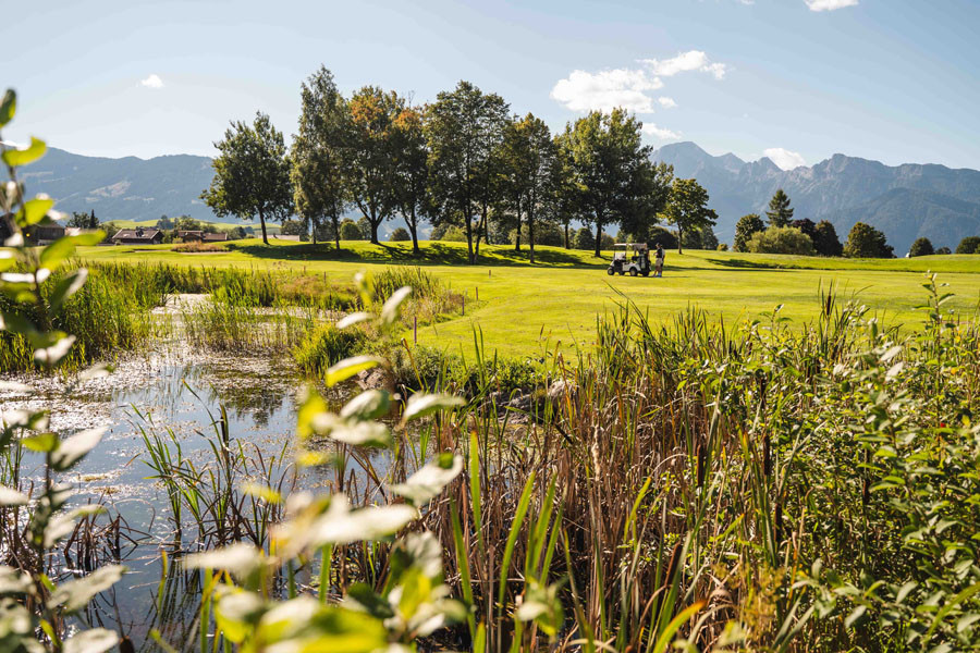 028 Golf 11082023 MichaelGeißler