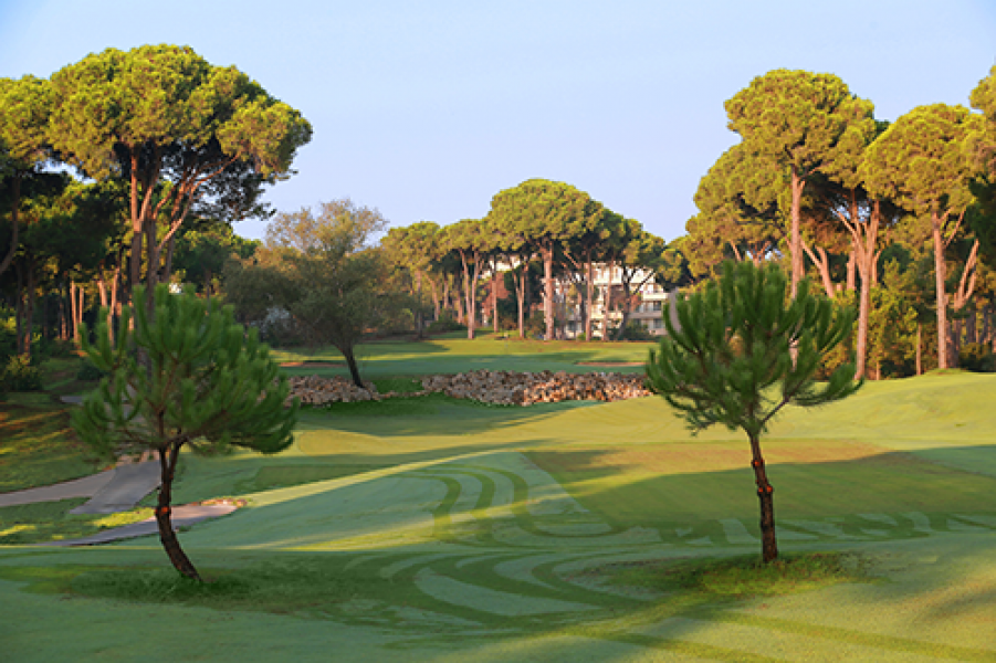 GloriaNewCourse7 GolfClub12th H3