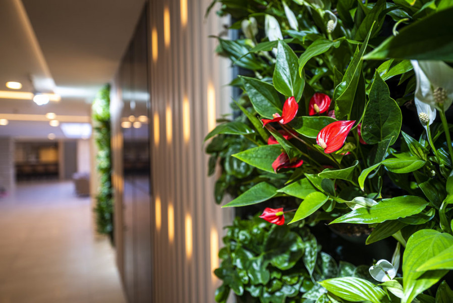 Lobby green wall