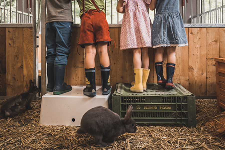 klosterbraeu sigis sauhaufen juli 2021 DavidJohansson 9329 print