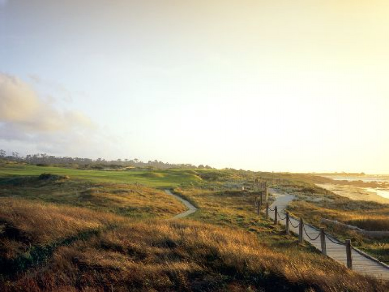 SB Unknown2 Joann Dost