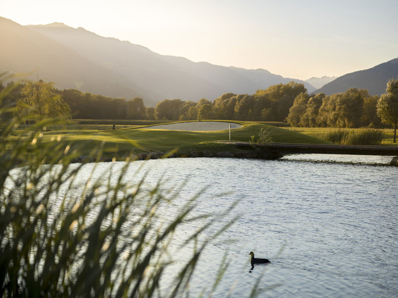 190919 martinlugger golfplatz B7950876