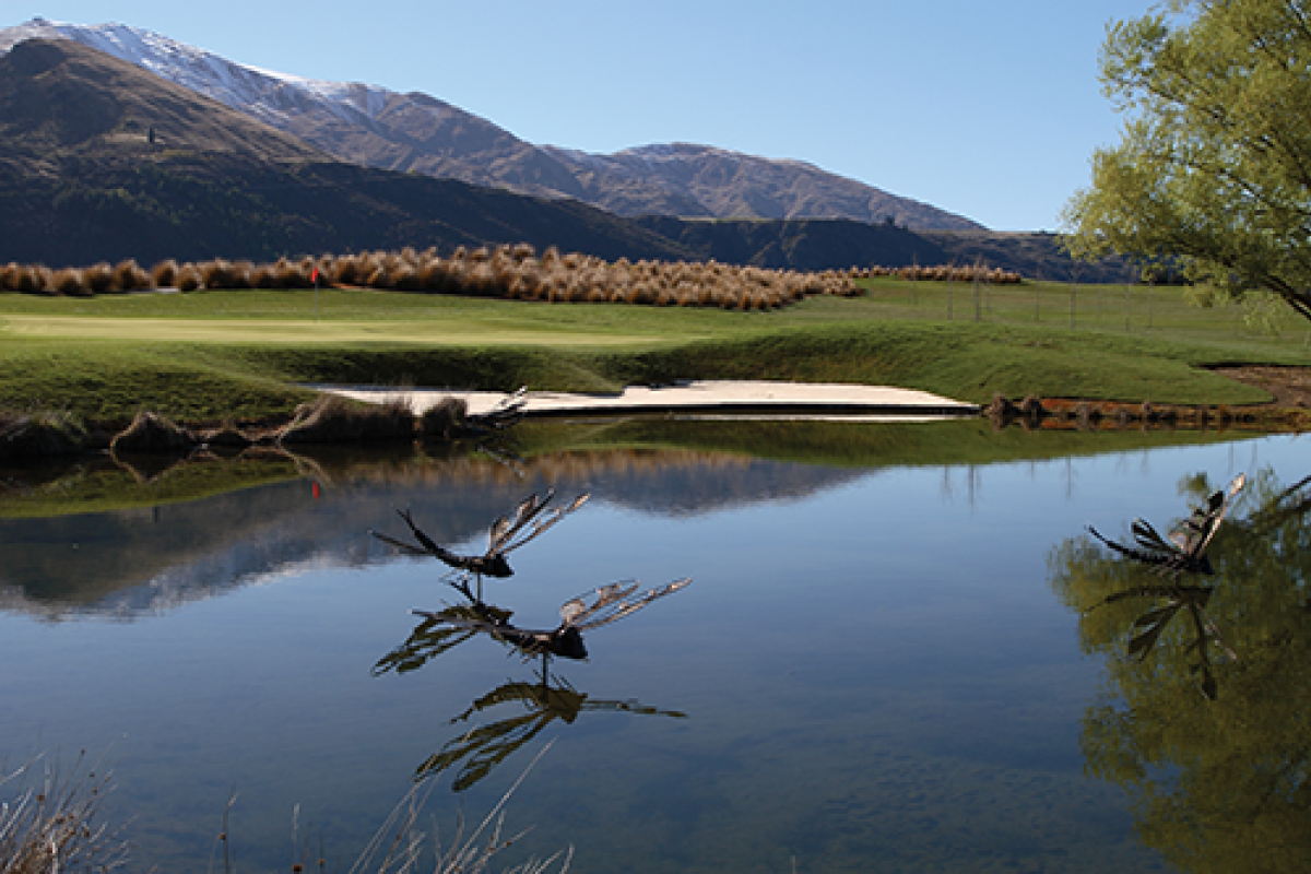 The Hills Dragonflies credit Mark Hill