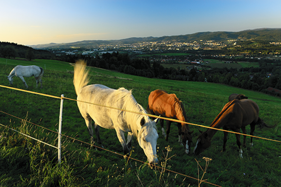 Liberec Libor Svacek CzechTourism