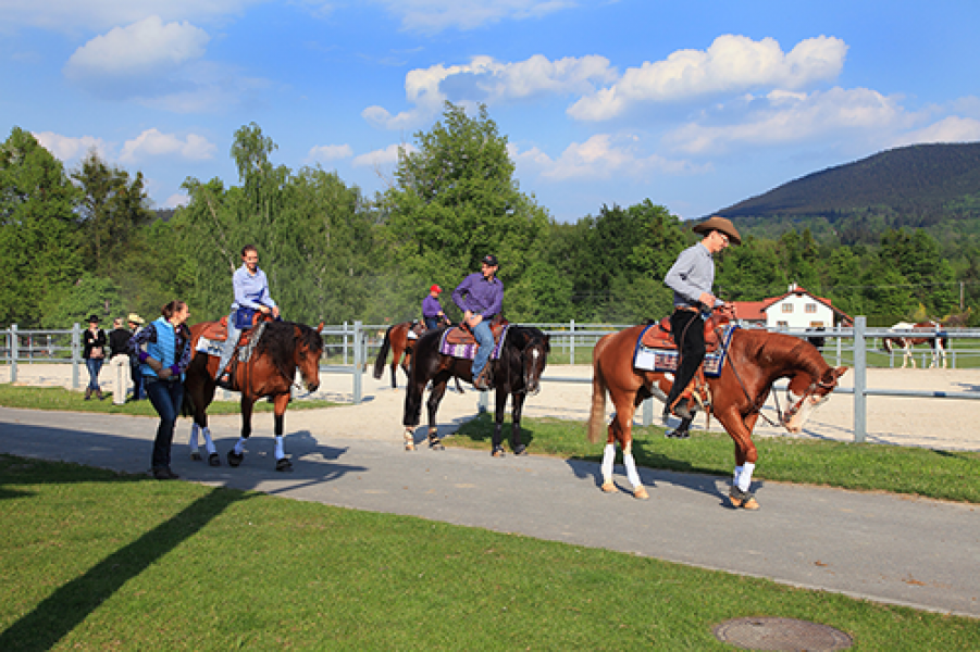 25 celadna prosper horse ranchIMG 9632802181