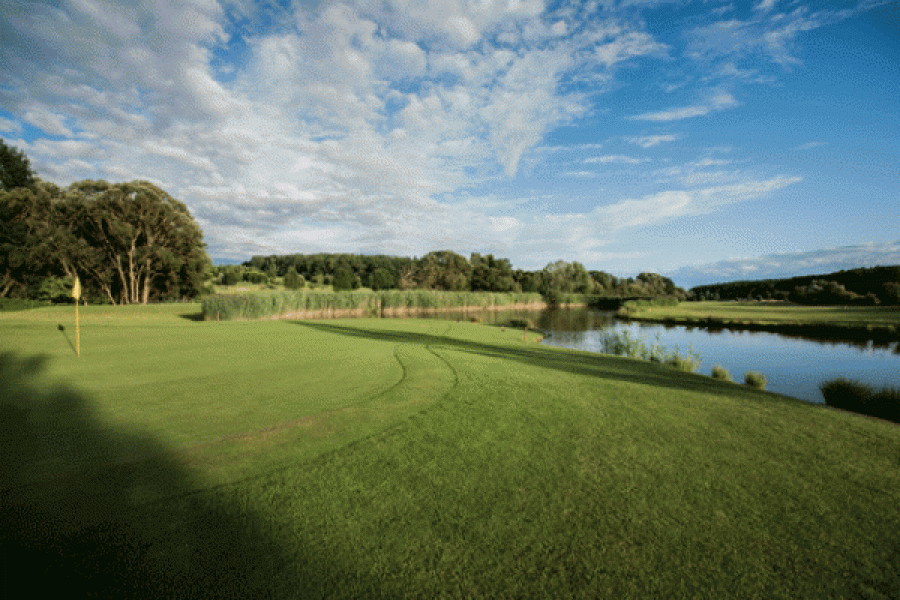 Reiters Reserve MAXUM RG2 13 von 40