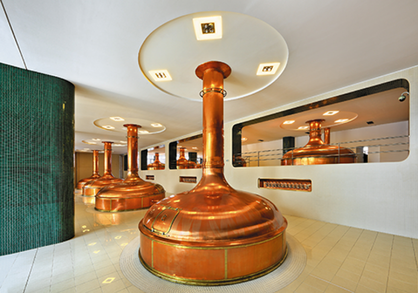 SVLI 197 Plzen Prazdroj varna