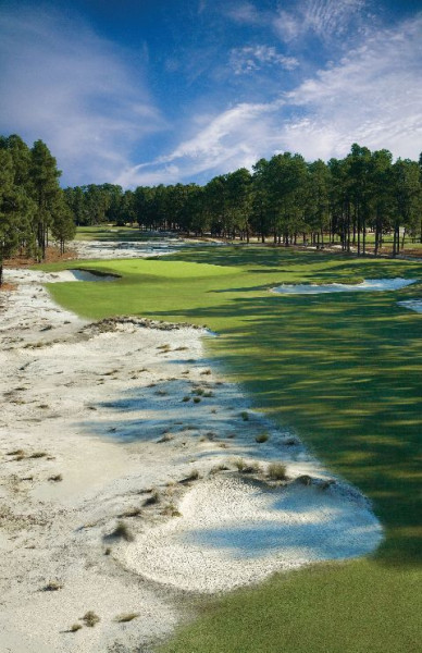 Hole1Pinehurst 7077