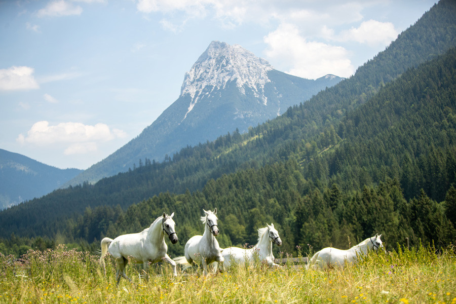 Posthotel Achenkirch BS1D6378