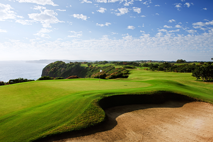 01 Royal Isabela 12H