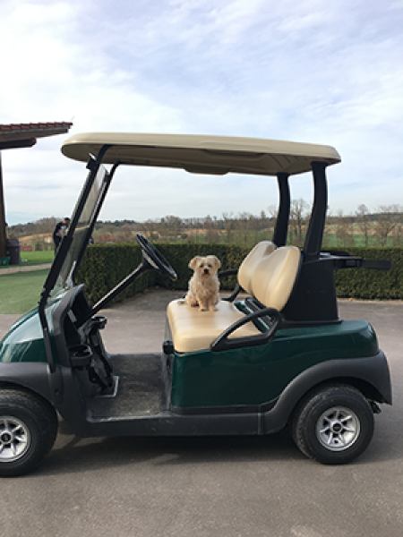 GC Stark Mit Benjamin auf Golftour IMG 4024