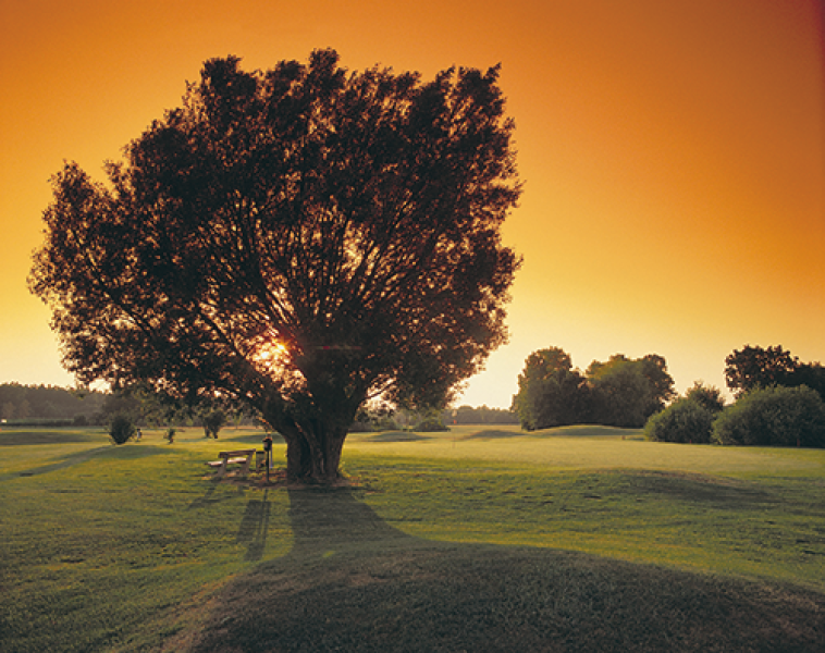 Thermengolf Sommerstimmung 01