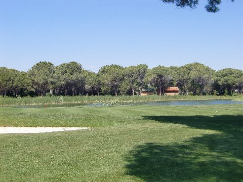 Montgomerie 2