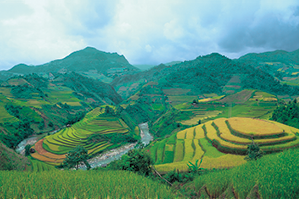 Foto 14 Bergige Reisfelder