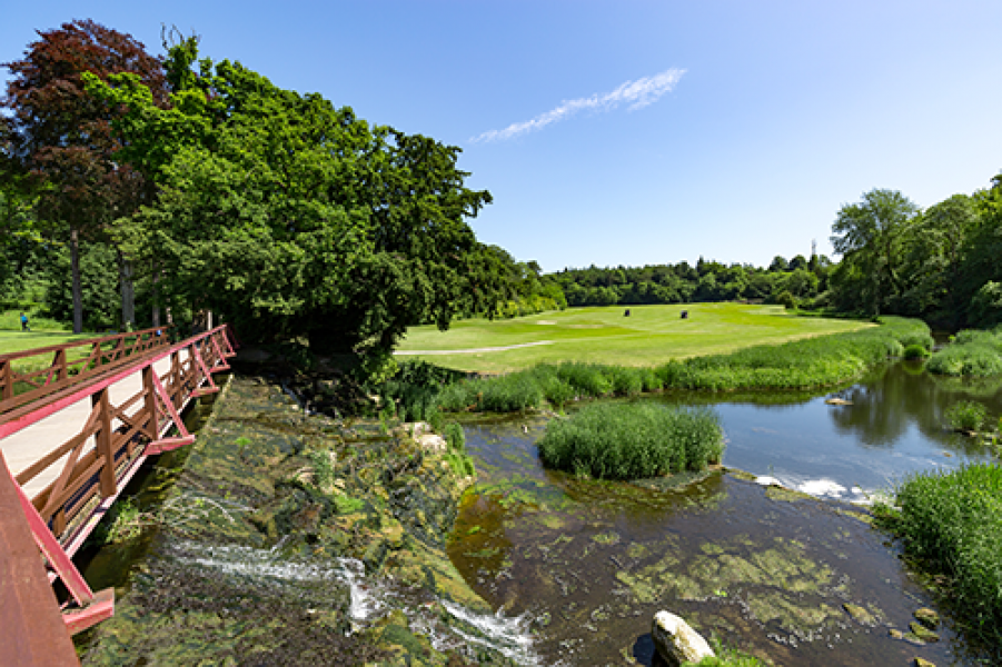 Dublin Carton House Omeara2