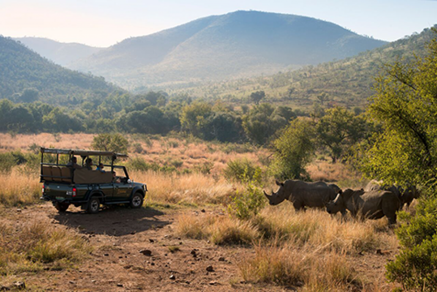 Game Drive8