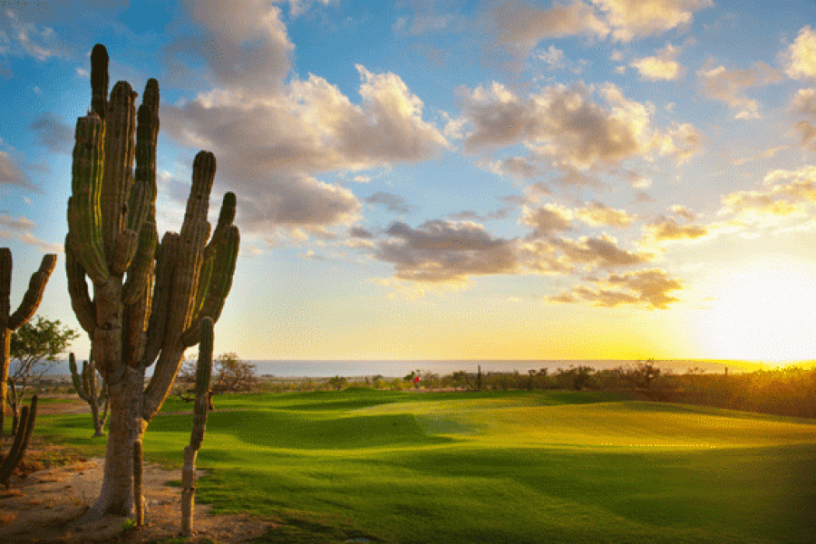 El Cardonal Sunset No14 3