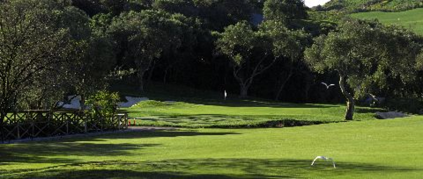 ALTA RESOLUCION FORDE 036