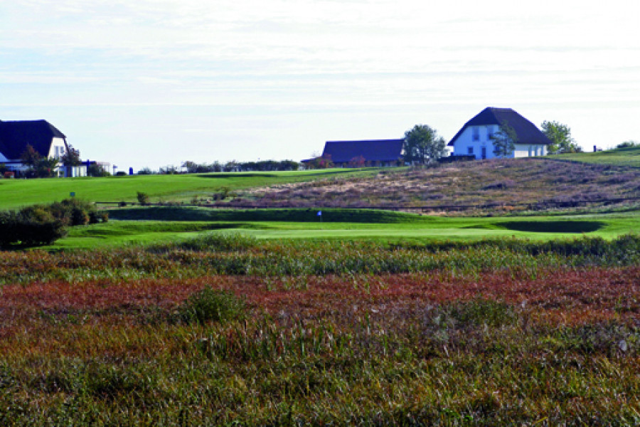 Kopie von IMG4098edited