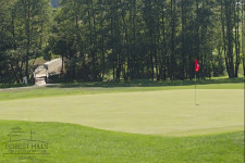 Forest Hillsgolf course copy