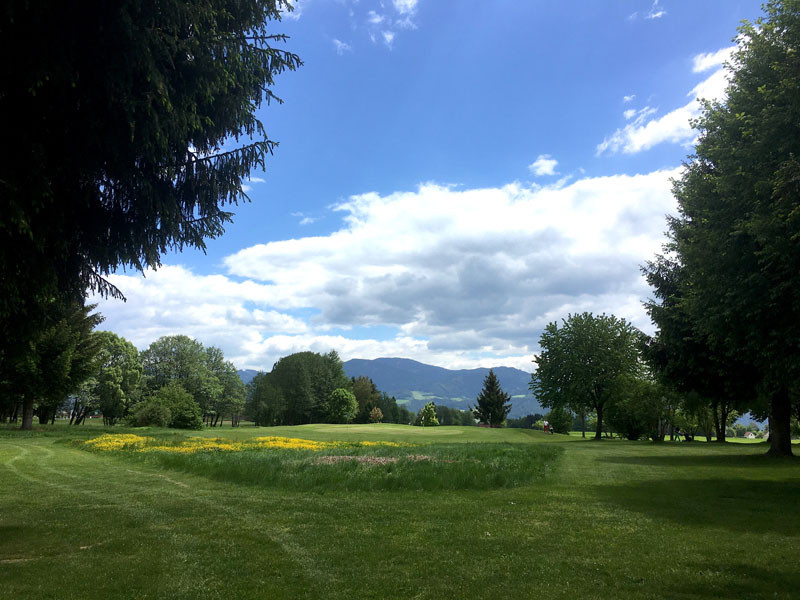 2020 05 21 13.02.08 Kopie