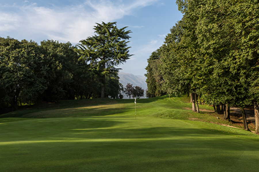 05Golf Avianof.gallina2013 6189