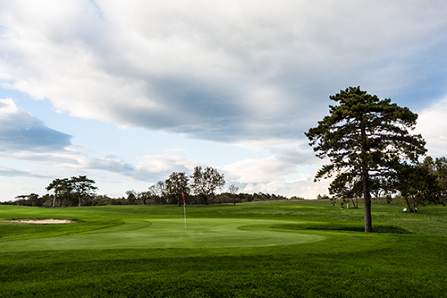 golf Triestef.gallina2013 0410
