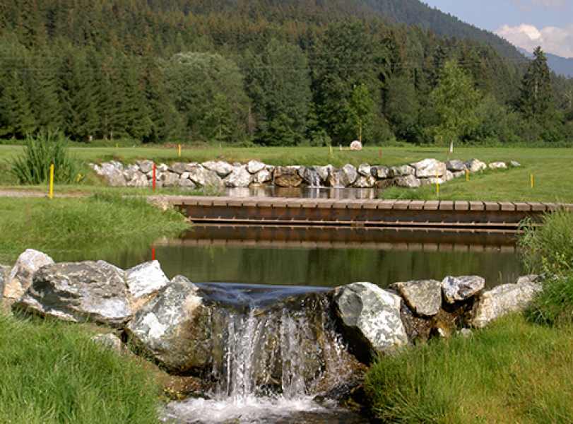 Grun 1 Brucke22 Kopie4