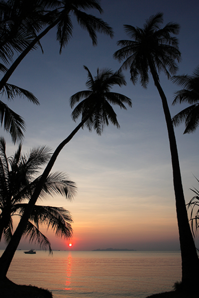 Surat Thani Samui Lipa Noi Beach 1985