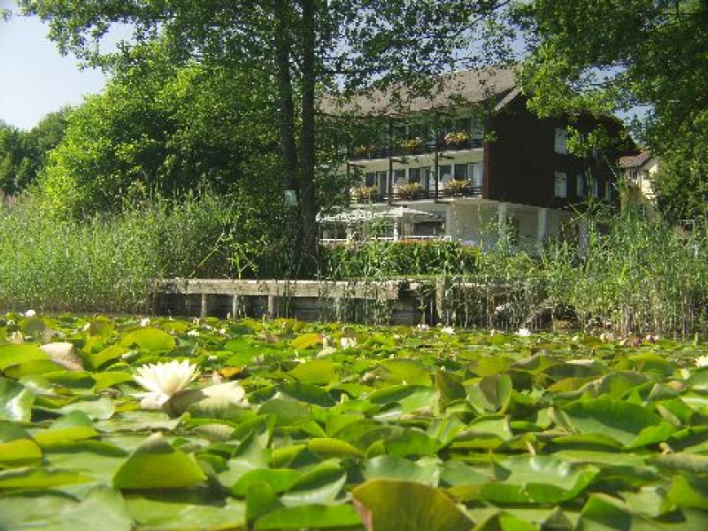 Hotel mit Seerosen