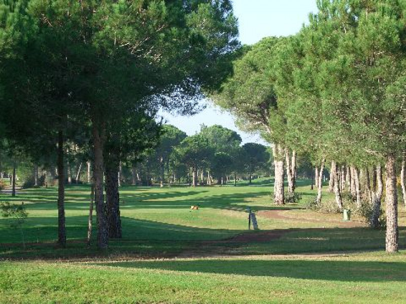 Hole 3b