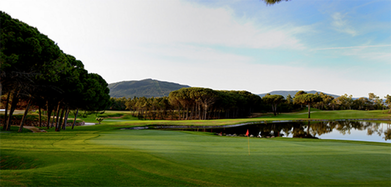 Bildschirmfoto 2018 09 20 um 17.36.06