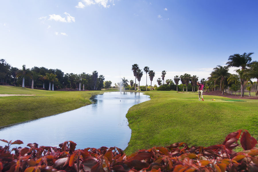 golf golf los palos arona LOSPALOS001